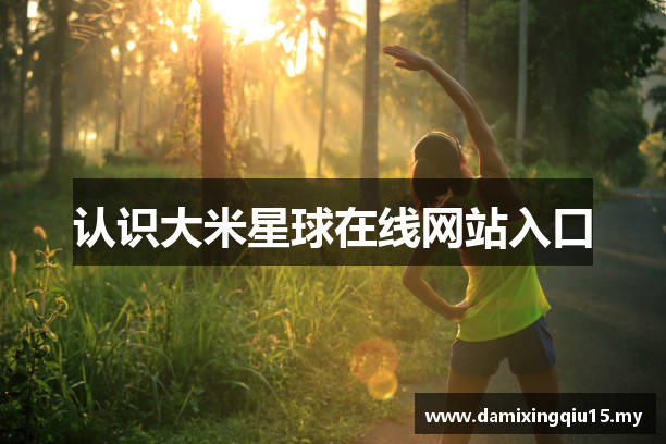 认识大米星球在线网站入口